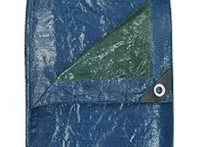 Blue Hawk 8-ft x 10-ft Plastic Tarp